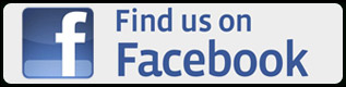 13.1 Facebook